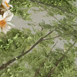 Landscape Canvas Art #LCA009