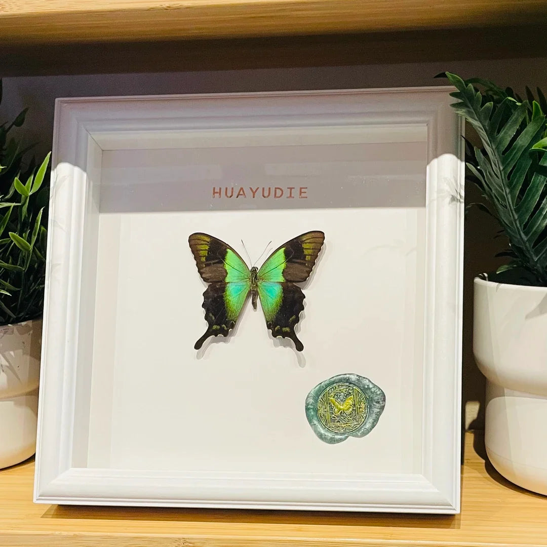 premium Papilion butterfly French light luxury ornaments glass butterfly ornaments photo frame living room decoration home square 8 inches - image 5