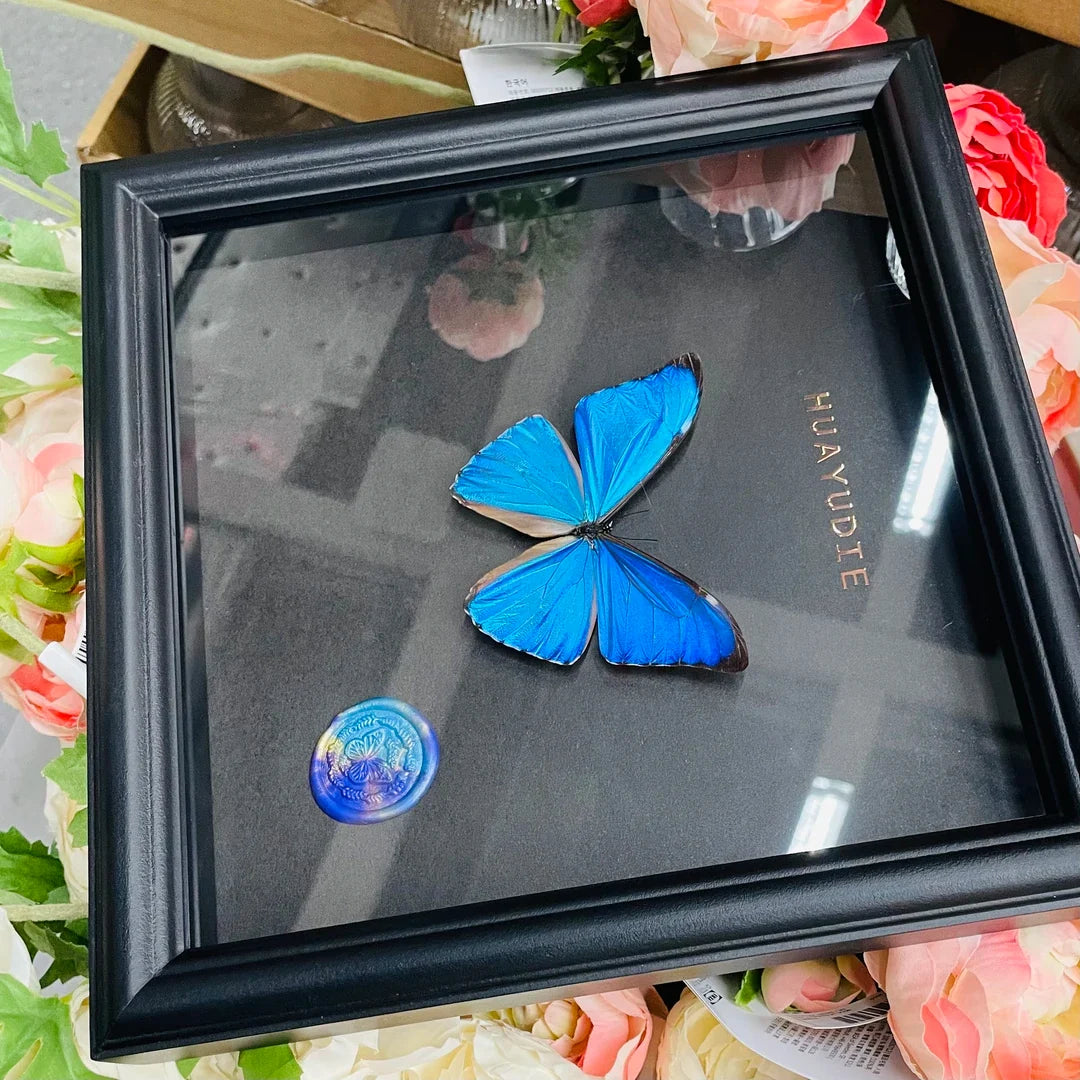 West Wind Morpho glass butterfly specimen real butterfly light luxury wall art premium atmospheric photo frame butterfly specimen square 8 inches - image 4