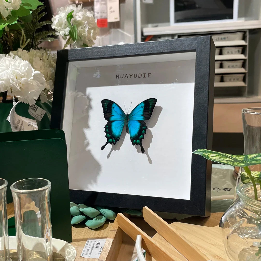 Light luxury decorative art customized black three-dimensional premium real butterfly specimen photo frame｜8-inch square butterfly photo frame - image 3