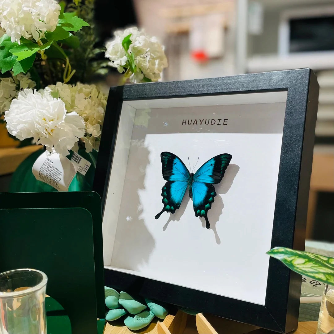 Light luxury decorative art customized black three-dimensional premium real butterfly specimen photo frame｜8-inch square butterfly photo frame - image 5