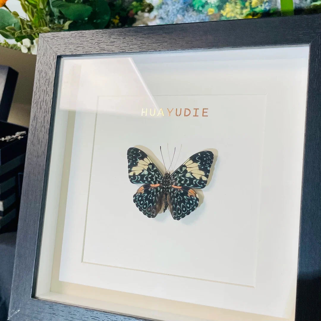 Toad butterfly real butterfly specimen birthday gift creative gift girlfriend gift home good things butterfly photo frame - image 2