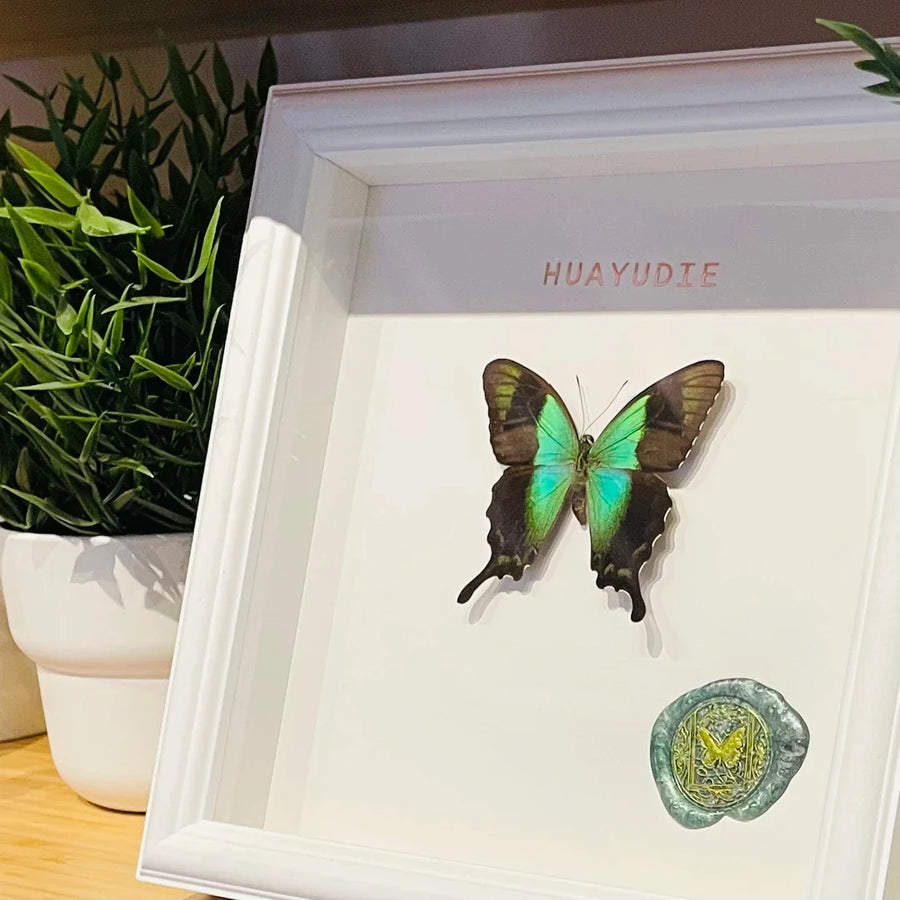 premium Papilion butterfly French light luxury ornaments glass butterfly ornaments photo frame living room decoration home square 8 inches