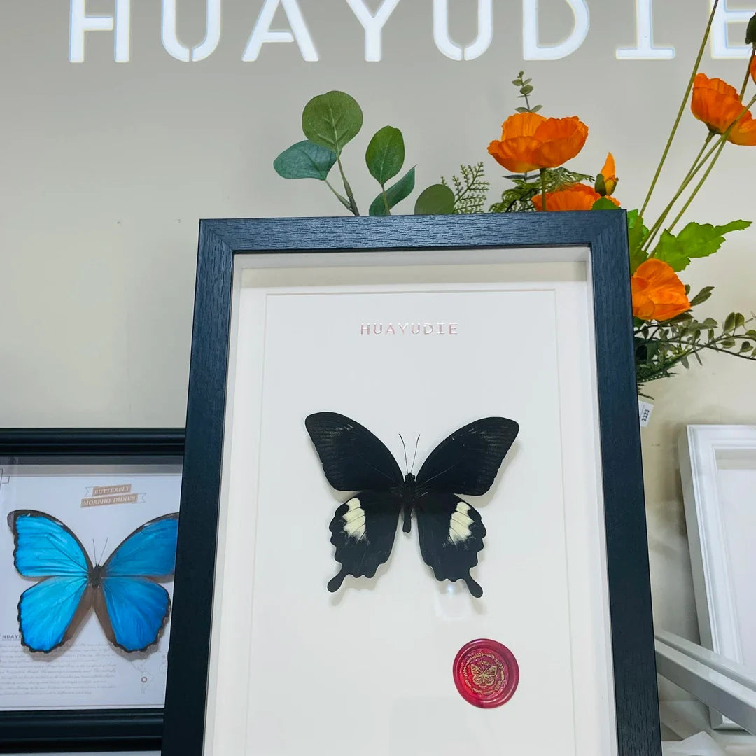 Living room gift three-dimensional creative butterfly photo frame ornaments retro light luxury vertical A4 photo frame butterfly decoration premium - image 4
