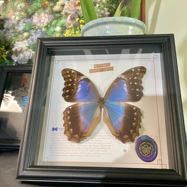 Glass boutique Nordic decorative butterfly photo frame painted blue friend creative gift living room premium ornament photo frame - image 3