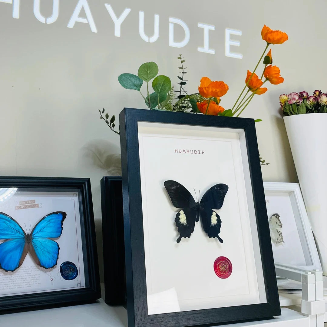 Living room gift three-dimensional creative butterfly photo frame ornaments retro light luxury vertical A4 photo frame butterfly decoration premium - image 5