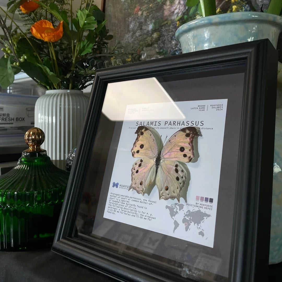 Green shell butterfly butterfly specimen creative decorative art butterfly photo frame diy ornaments personalized creative birthday gift - image 2