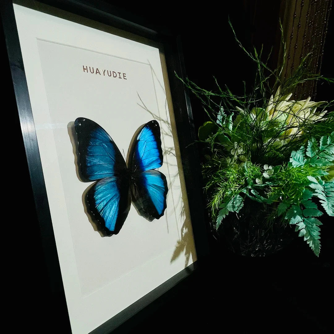 premium light luxury decorative art, living room decoration, atmospheric butterfly wall art, Nordic creative gift, home glass photo frame - image 5