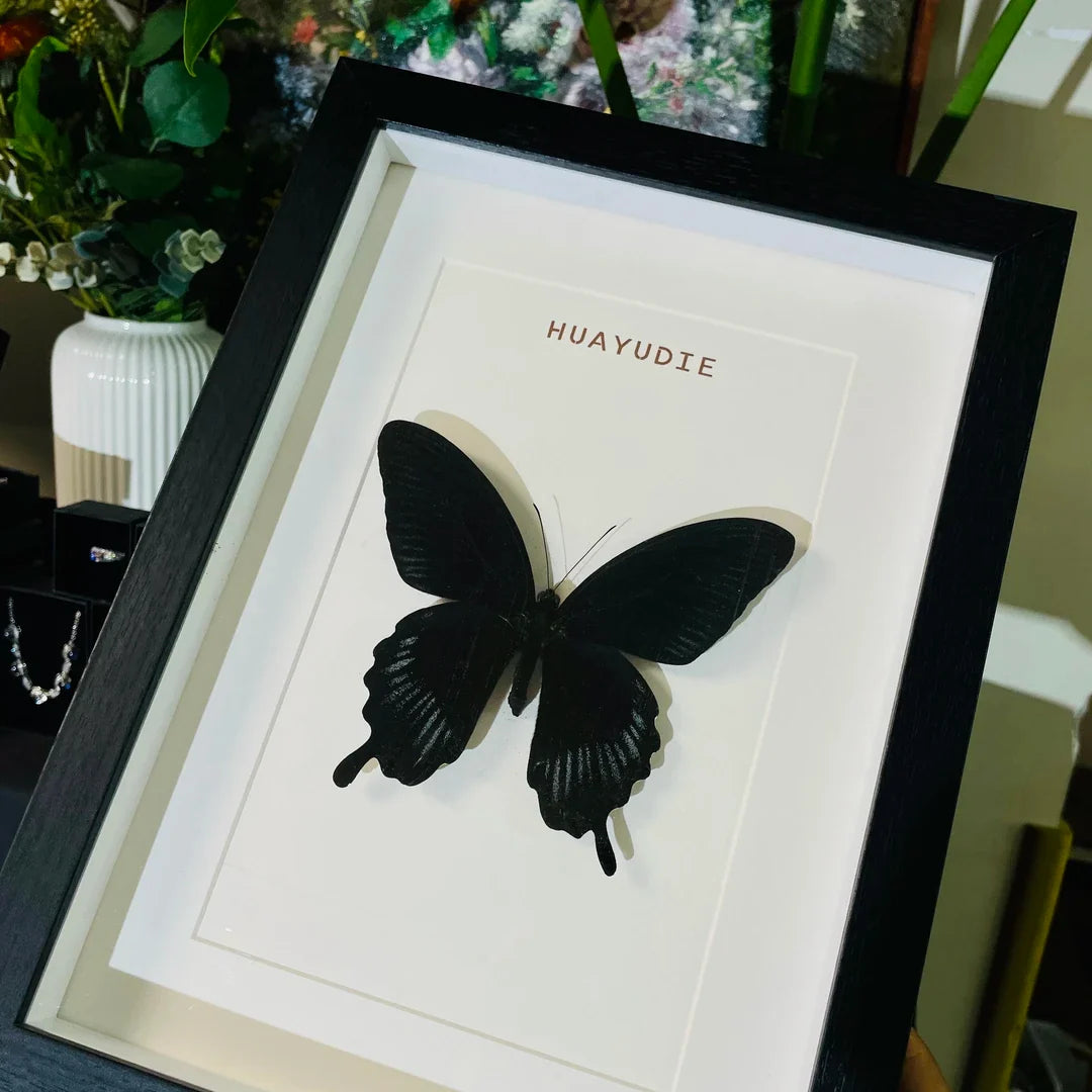 Papilio deiphobus real butterfly specimen birthday gift creative home goodies photo frame - image 3
