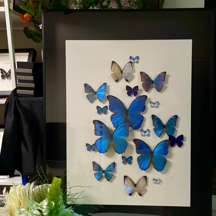 "Sparkling Light" Butterfly decorative art Imported Real Butterfly Entrance Sofa Background Wall decorative art Best Friend Anniversary Gift