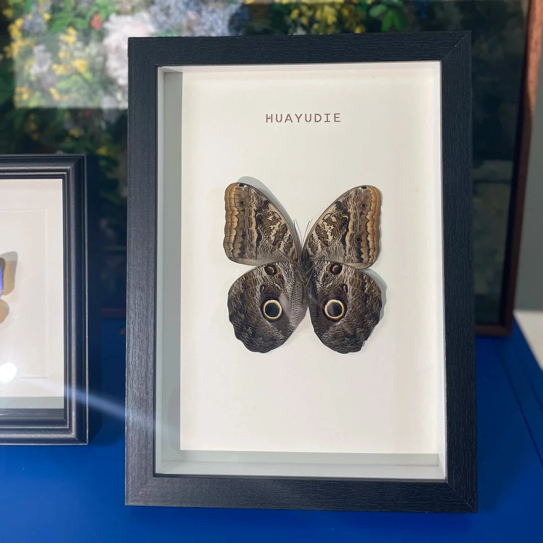 Blue ring butterfly home decoration butterfly ornament creative gift A1 framed butterfly specimen | A4 Nordic decorative art - image 4