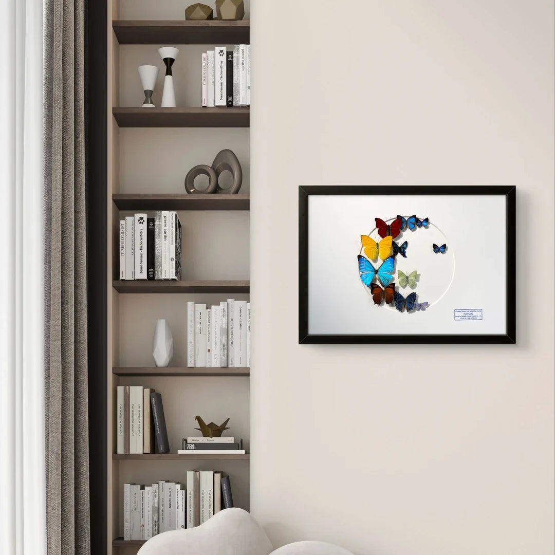 FLORAFLY "Colorful Wings Dream" real butterfly decorative art imported real butterfly specimen gift sofa background wall - image 5