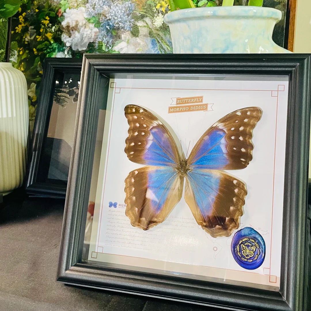 Glass boutique Nordic decorative butterfly photo frame painted blue friend creative gift living room premium ornament photo frame - image 5