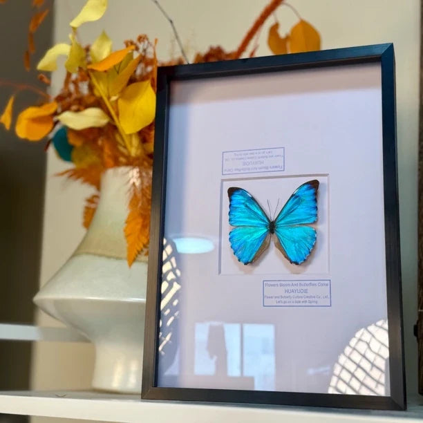 Dawn Morpho butterfly picture frame custom specimen decorative art light luxury photo frame butterfly specimen blue 8-inch picture frame - image 2