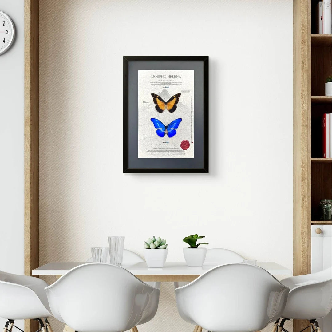 FLORAFLY "Goddess of Light" luxury-style butterfly assemblage vertical wood frame real butterfly specimen frame decorative art gift - image 2