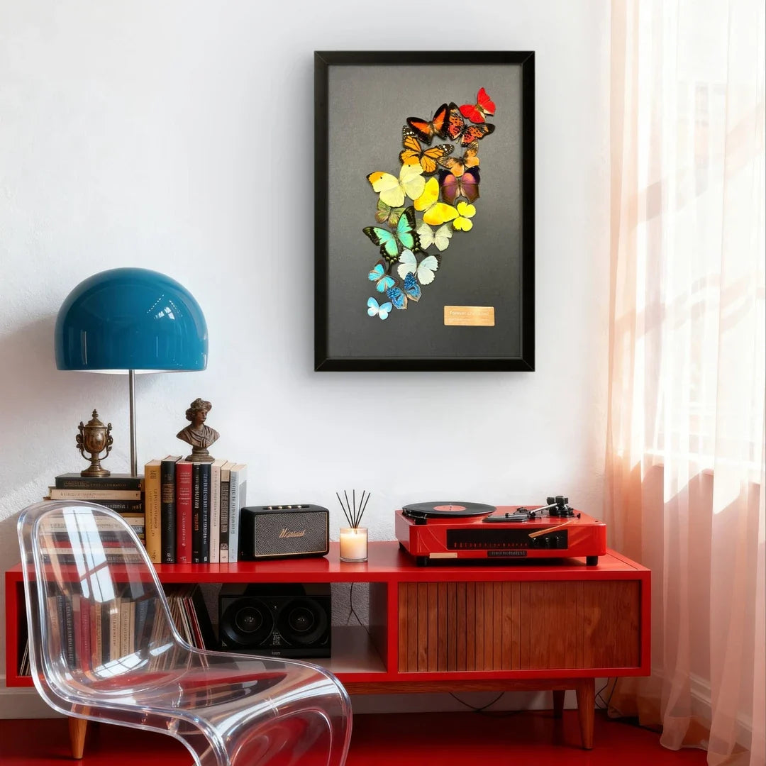 FLORAFLY "Arc of Color" luxury-style butterfly assemblage vertical wood frame real butterfly specimen frame decorative art Gift - image 2