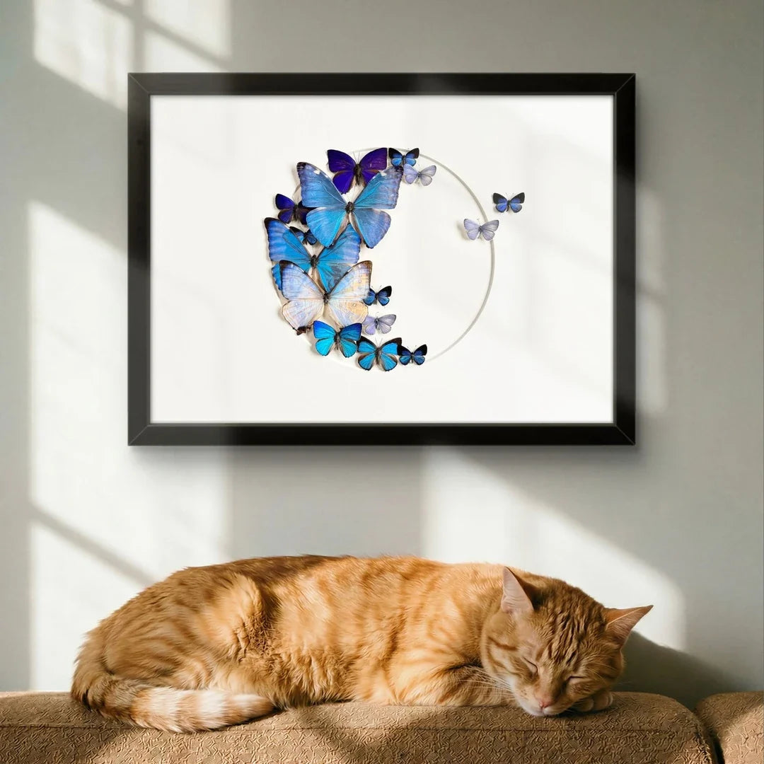 FLORAFLY "Sea Floating Night Moon" Real Butterfly decorative art Imported Real Butterfly Sofa Background Wall decorative art Gift - image 2