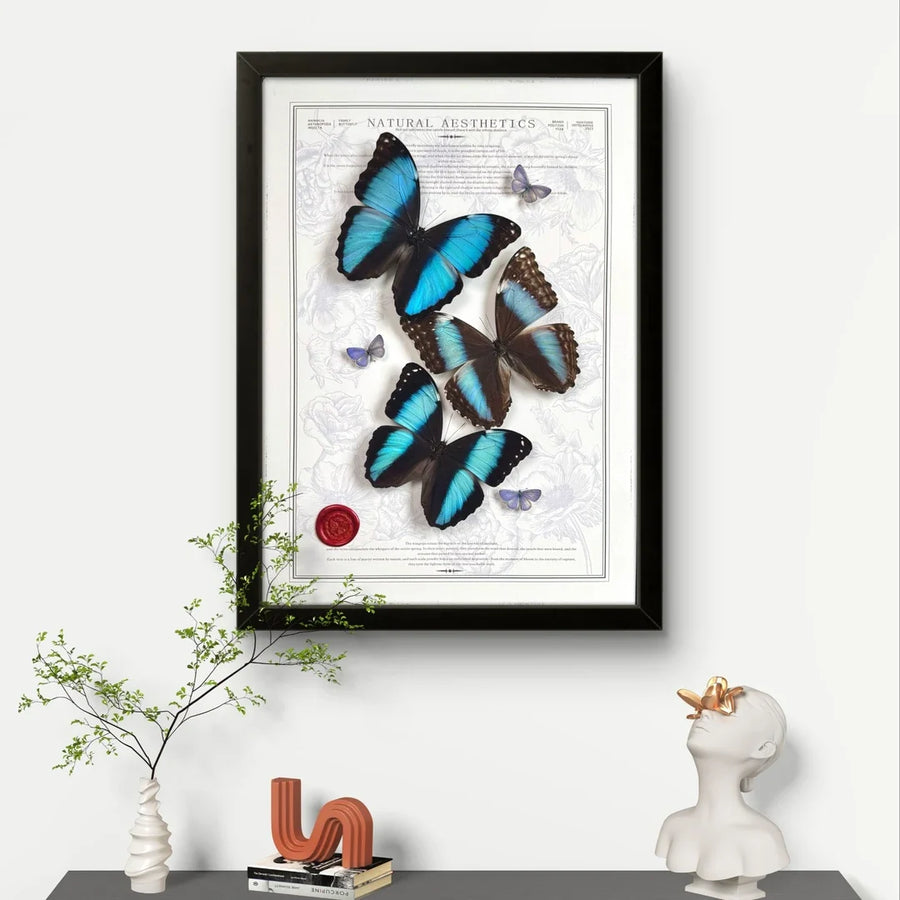 FLORAFLY "Triple Realm" luxury-style butterfly assemblage vertical wood frame real butterfly specimen frame decorative art gift