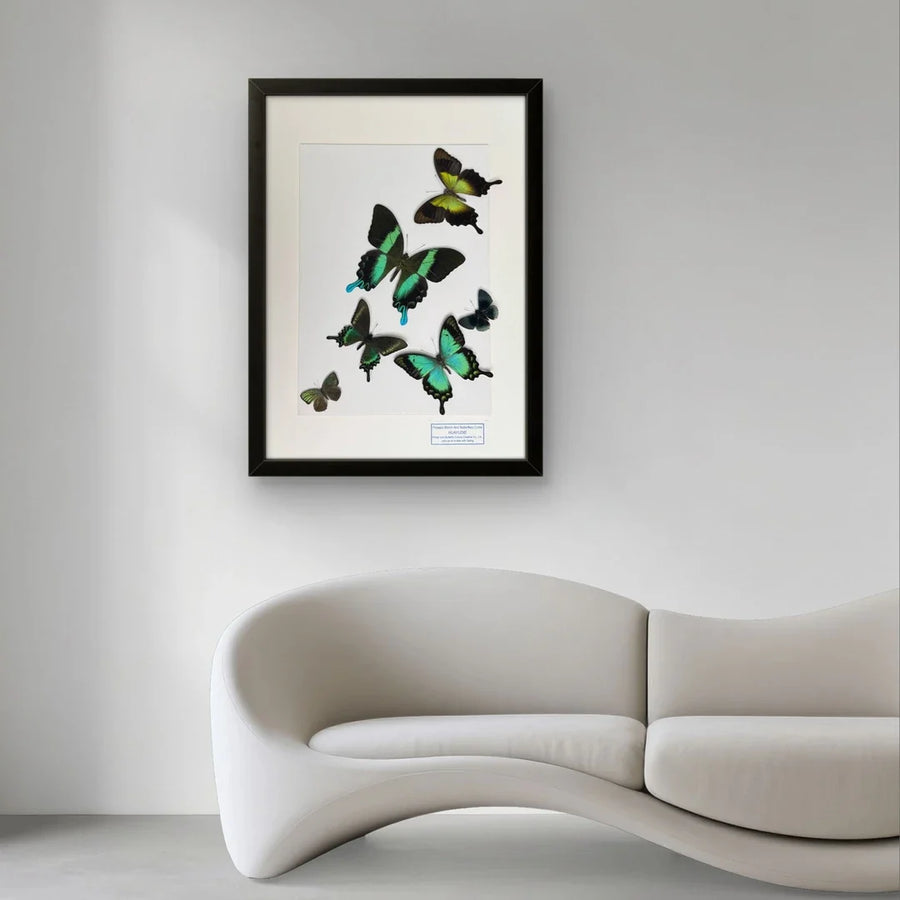FLORAFLY "The Wizard of Oz" luxury-style butterfly assemblage vertical wood frame real butterfly specimen frame decorative art gift