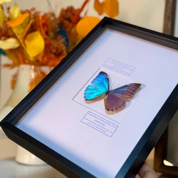Dawn Morpho butterfly picture frame custom specimen decorative art light luxury photo frame butterfly specimen blue 8-inch picture frame - image 5