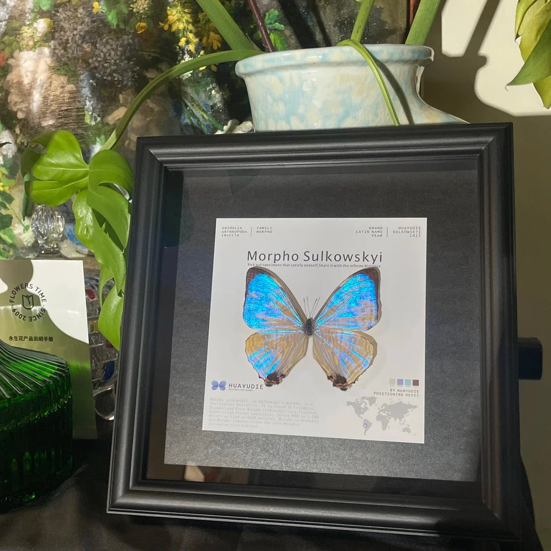 Luminous Pearl Light Luxury Customized decorative art Gifts premium Decoration wall art Gifts premium Butterfly Glass Photo Frame Ornaments - image 1