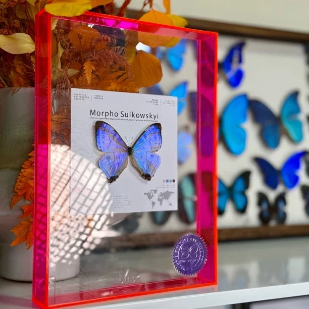 butterfly wall art - premium atmospheric decoration blue butterfly Nordic style gift decorative art light luxury gift giving - image 2