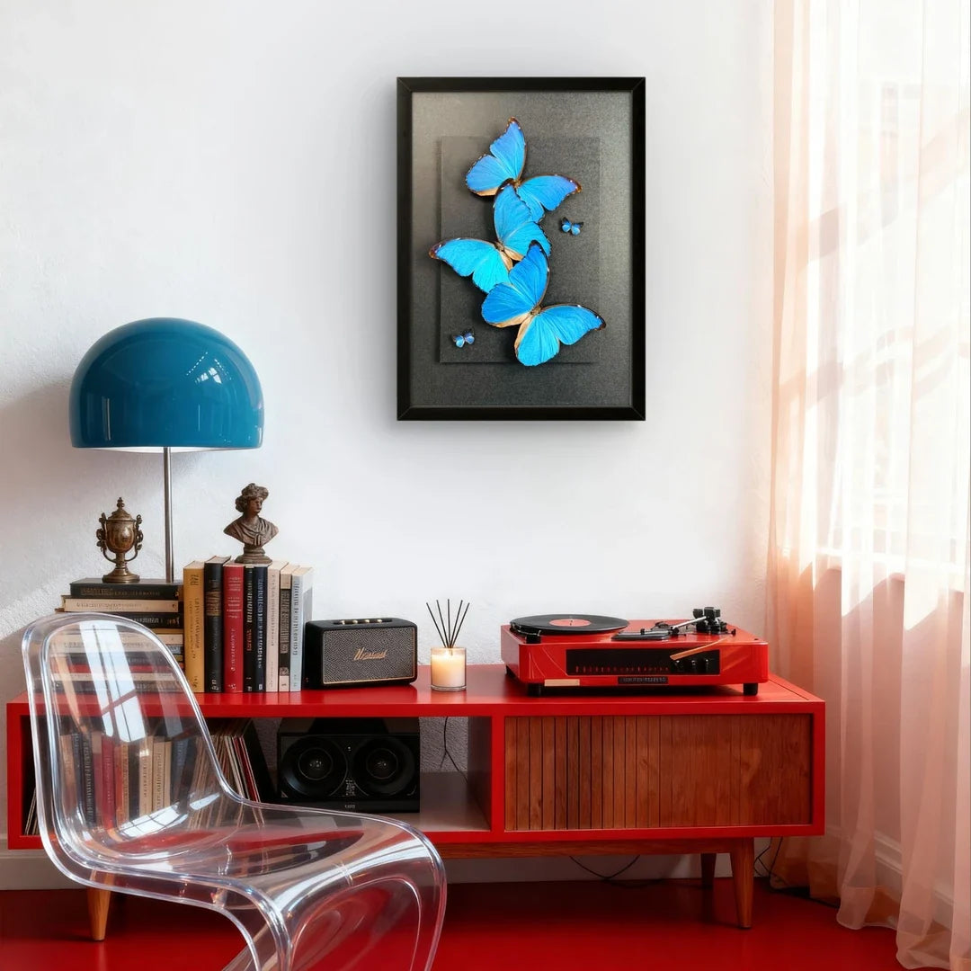 FLORAFLY "Blue Flash Trio" real butterfly decorative art living room shop hanging creative gift big blue morpho butterfly - image 3