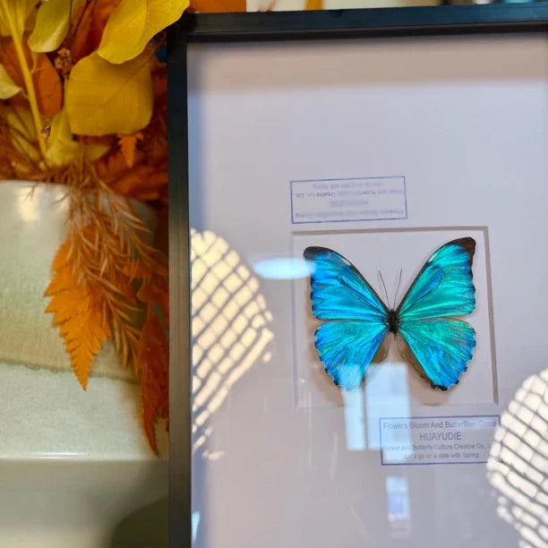 Dawn Morpho butterfly picture frame custom specimen decorative art light luxury photo frame butterfly specimen blue 8-inch picture frame - image 3