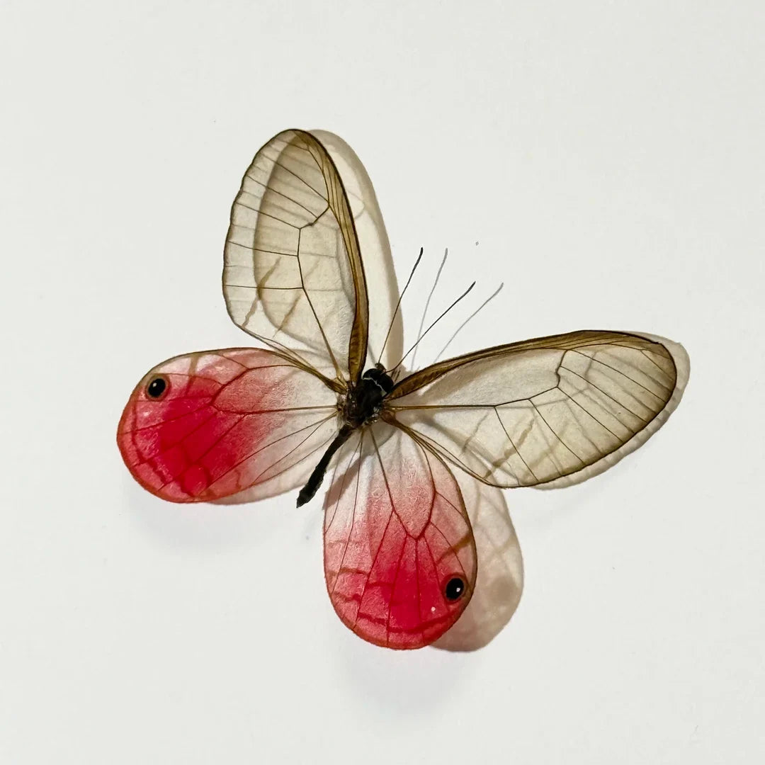 Red Nordic butterfly handmade decorative art photo frame couple gift for besties creative gift home decoration - image 1