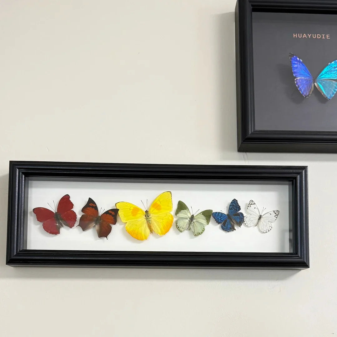 "Six Colors of Mood" Real Butterfly Photo Frame Couple Gifts for Valentine's Day Creative Gifts for Girlfriends and Best Home Goods - image 1
