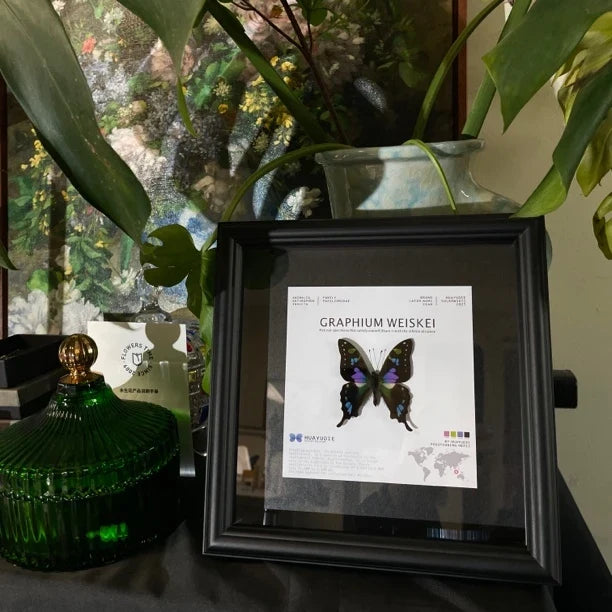 Rose Green Phoenix Butterfly Specimen Real Butterfly Birthday Girlfriend Best Friend Creative Gift Home Goods Fashion Specimen - image 4