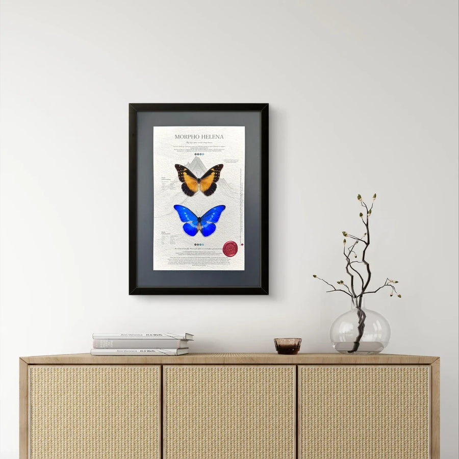 FLORAFLY "Goddess of Light" luxury-style butterfly assemblage vertical wood frame real butterfly specimen frame decorative art gift