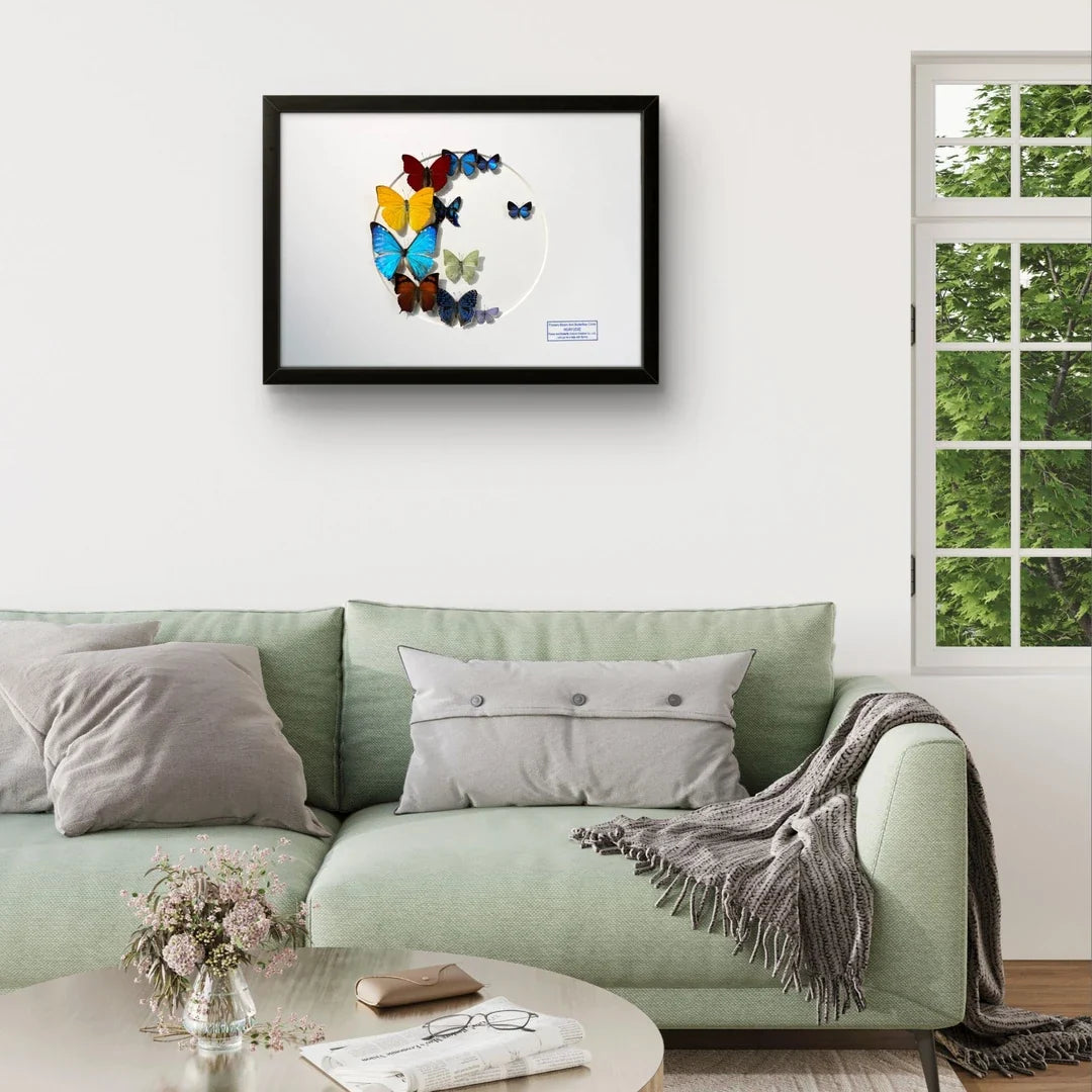 FLORAFLY "Colorful Wings Dream" real butterfly decorative art imported real butterfly specimen gift sofa background wall - image 4