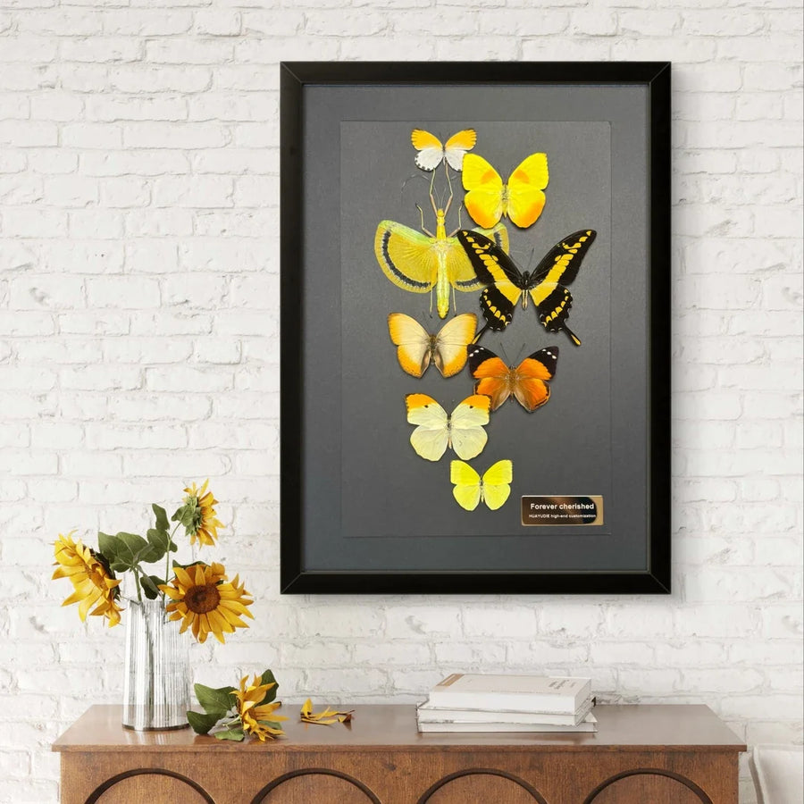 FLORAFLY "Golden Rain Secret Realm" luxury-style butterfly assemblage vertical wood frame real butterfly specimen frame decorative art gift