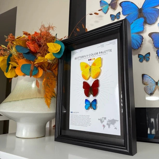 Three-color butterfly assemblage photo frame, creative gift for girlfriend, best friend and boyfriend, recommended home decoration creative gift - image 4