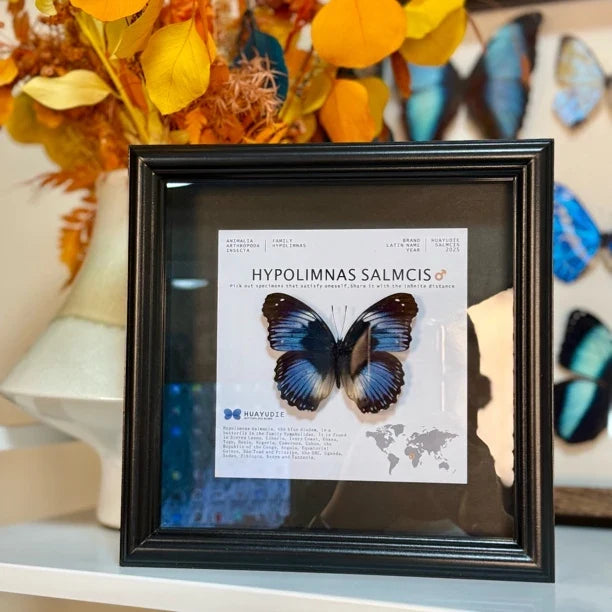 Weak water butterfly 3D three-dimensional butterfly artwork decorative art gift premium gift for girlfriend gift photo frame - image 4