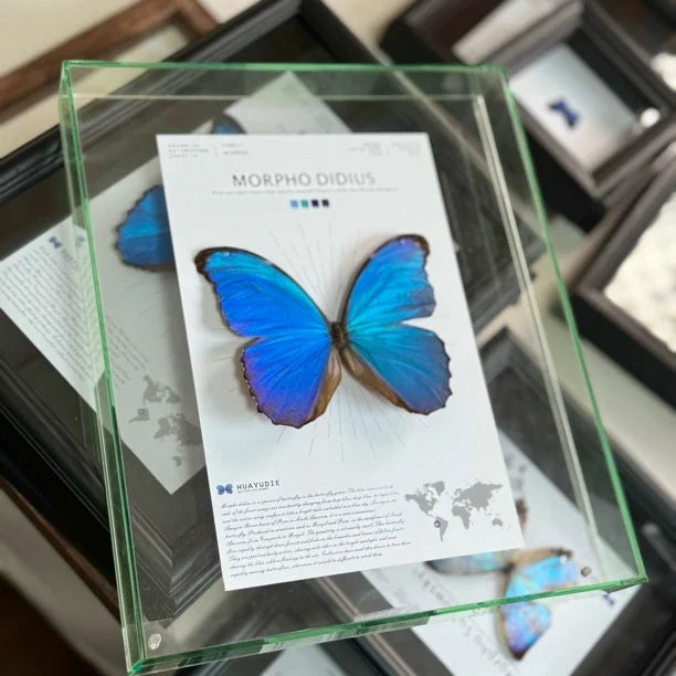 Decorative picture frame - light luxury hanging picture, premium atmospheric glass butterfly living room accessories, premium gift for girlfriend - image 4