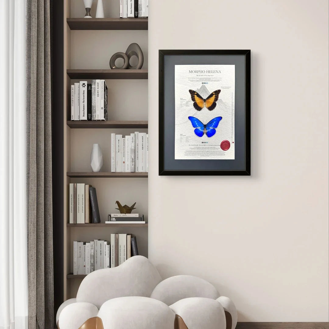 FLORAFLY "Goddess of Light" luxury-style butterfly assemblage vertical wood frame real butterfly specimen frame decorative art gift - image 4