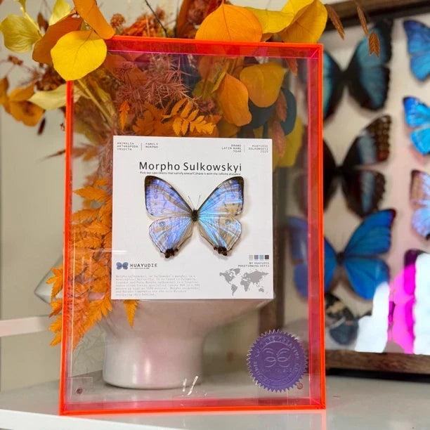 butterfly wall art - premium atmospheric decoration blue butterfly Nordic style gift decorative art light luxury gift giving - image 1