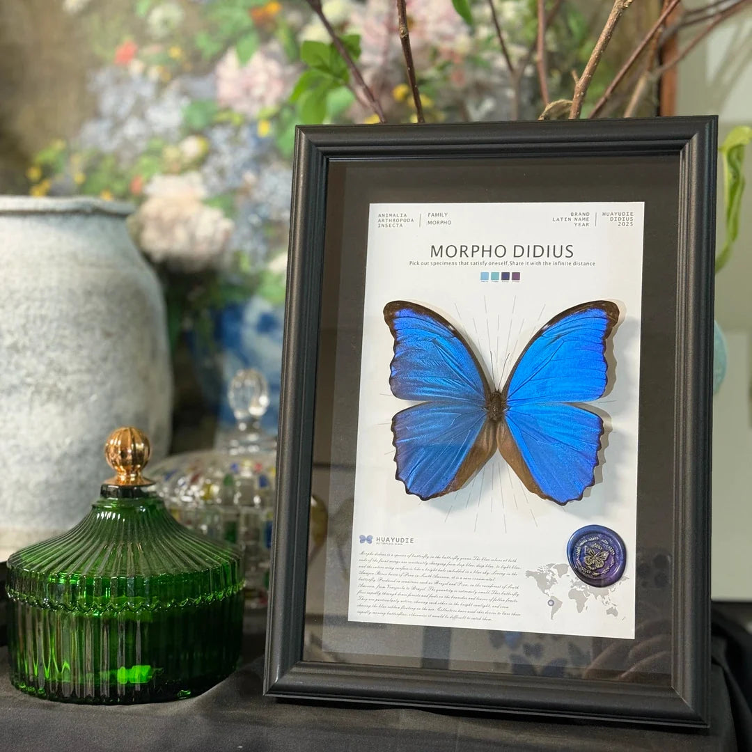 Big blue morpho butterfly didius premium light luxury butterfly decorative art to give Mother's Day gift, atmospheric and premium wall art - image 4