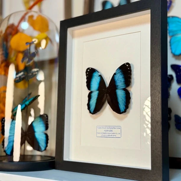premium premium photo frame blue butterfly specimen creative gift elegant creative gift send light luxury decorative gift - image 4