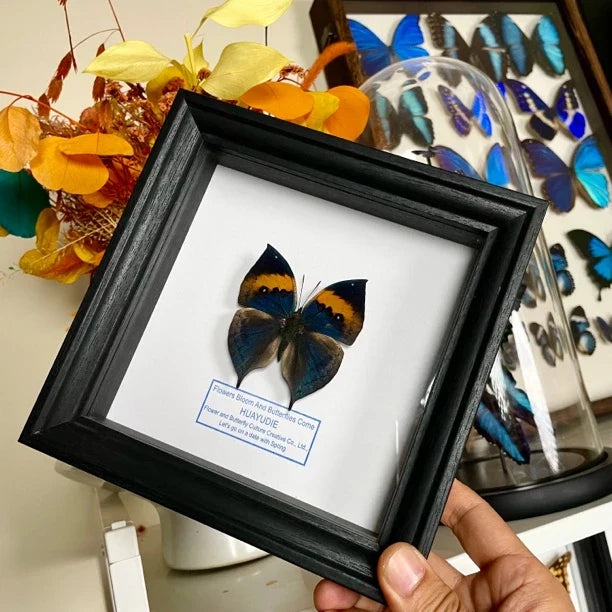 Dead Leaf Butterfly Photo Frame Real Butterfly Specimen Creative Gift Valentine's Day Creative Gift for Girlfriend Birthday Gift - image 2