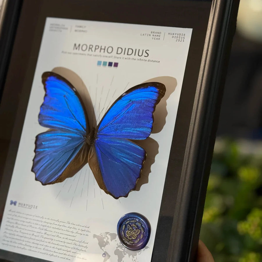 Big blue morpho butterfly didius premium light luxury butterfly decorative art to give Mother's Day gift, atmospheric and premium wall art
