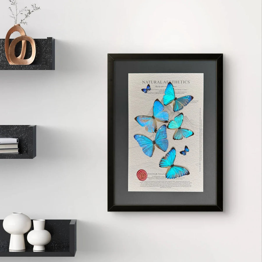 FLORAFLY "Midsummer Night" luxury-style butterfly assemblage vertical wood frame real butterfly specimen frame decorative art gift