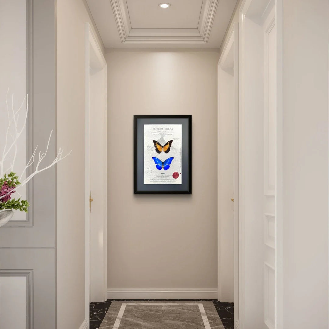 FLORAFLY "Goddess of Light" luxury-style butterfly assemblage vertical wood frame real butterfly specimen frame decorative art gift - image 5