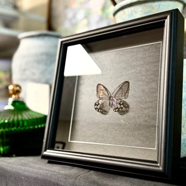 Photo frame of pseudomorphic butterfly specimen for couple, Valentine’s Day gift for girlfriend and best friend, creative butterfly specimen for home goodies - image 3