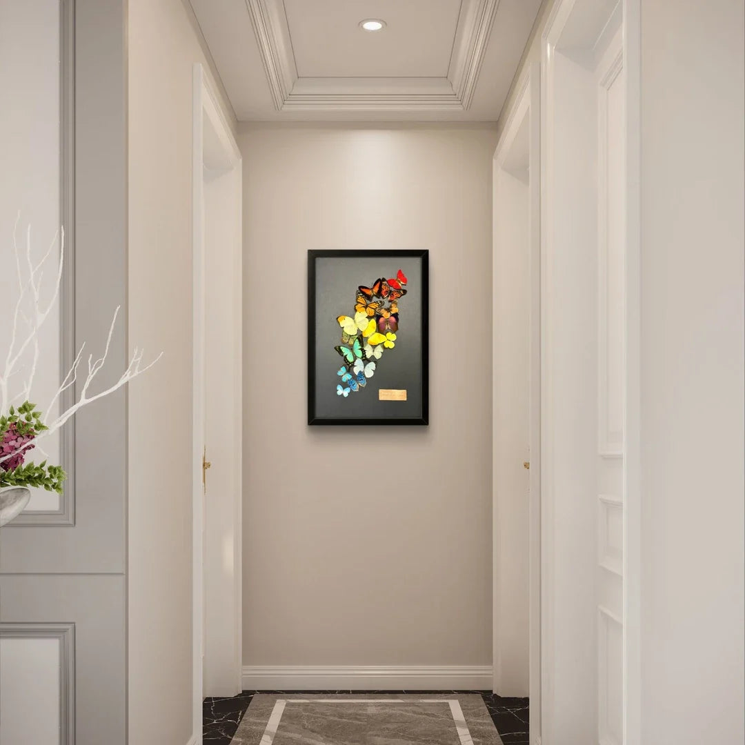 FLORAFLY "Arc of Color" luxury-style butterfly assemblage vertical wood frame real butterfly specimen frame decorative art Gift - image 4