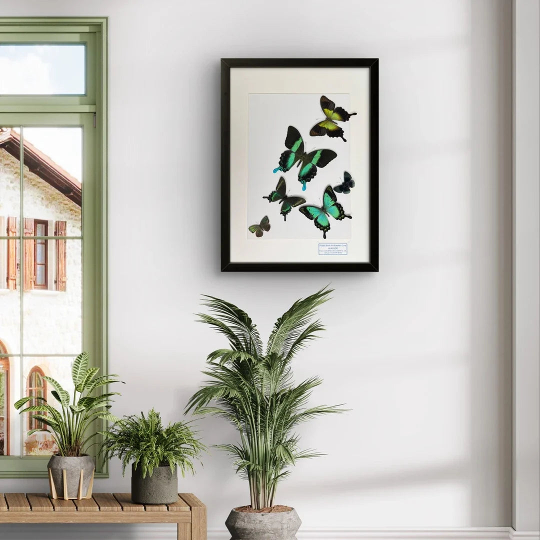 FLORAFLY "The Wizard of Oz" luxury-style butterfly assemblage vertical wood frame real butterfly specimen frame decorative art gift - image 3