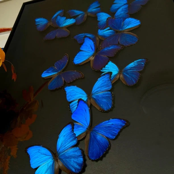FLORAFLY "Blue Shadow" atmospheric butterfly new bedroom decoration painting living room wall art entrance premium wall art - image 5
