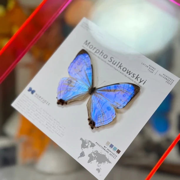 butterfly wall art - premium atmospheric decoration blue butterfly Nordic style gift decorative art light luxury gift giving - image 3